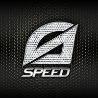 SPEED - 悲伤约定