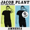 Jacob Plant - Amnesia (Majestic Remix)