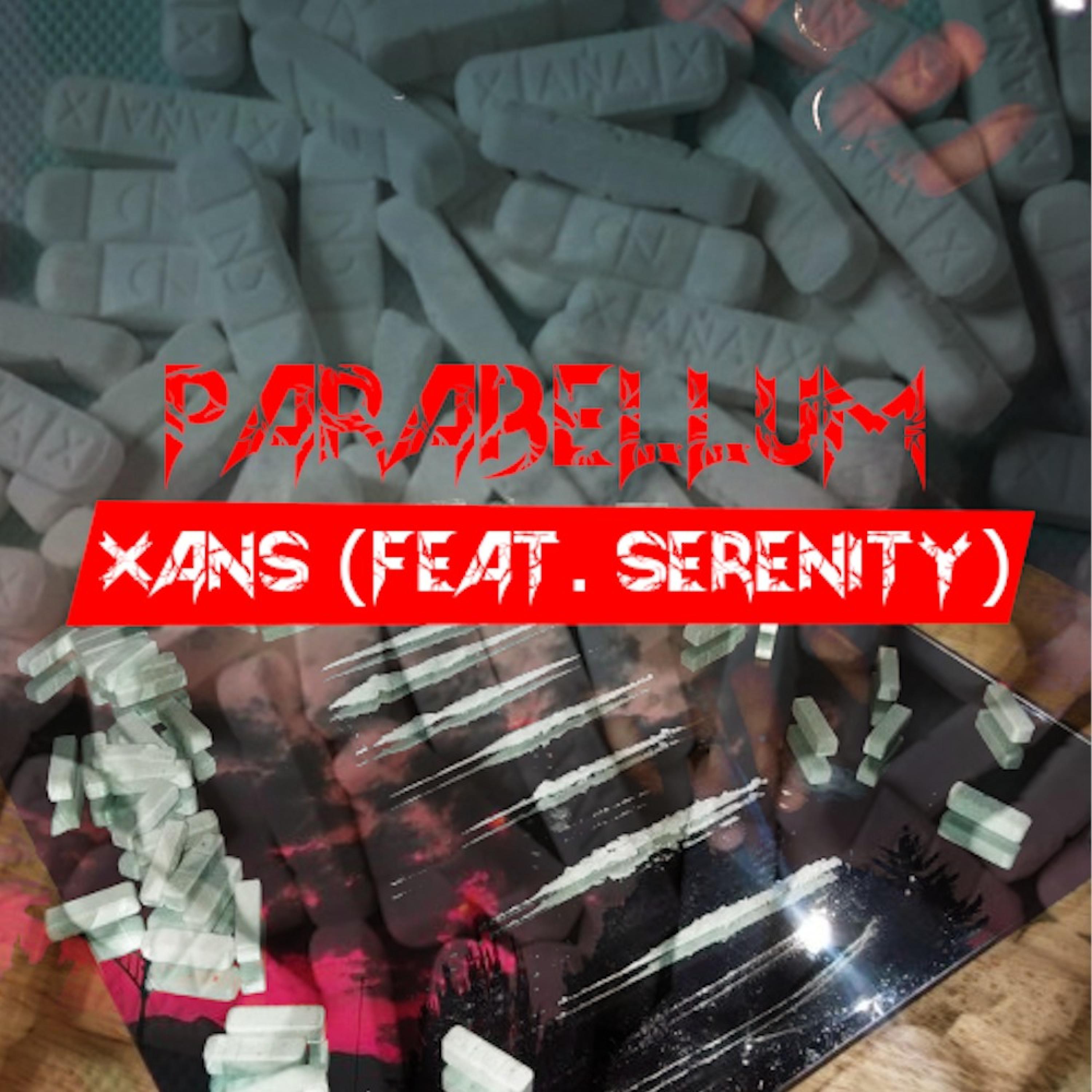 Xans (feat. Serenity2k)