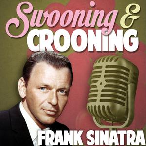 Frank Sinatra - New York New York (VS karaoke) 带和声伴奏