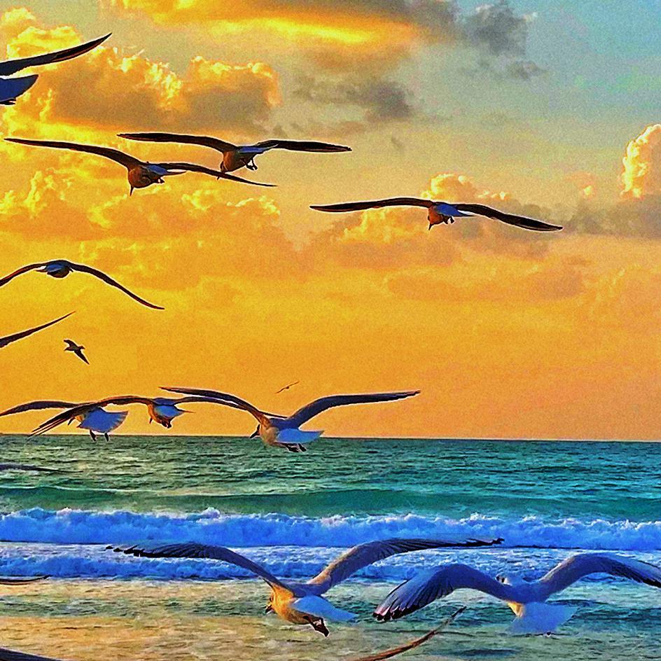 Track in time（IRXD7 Edit）