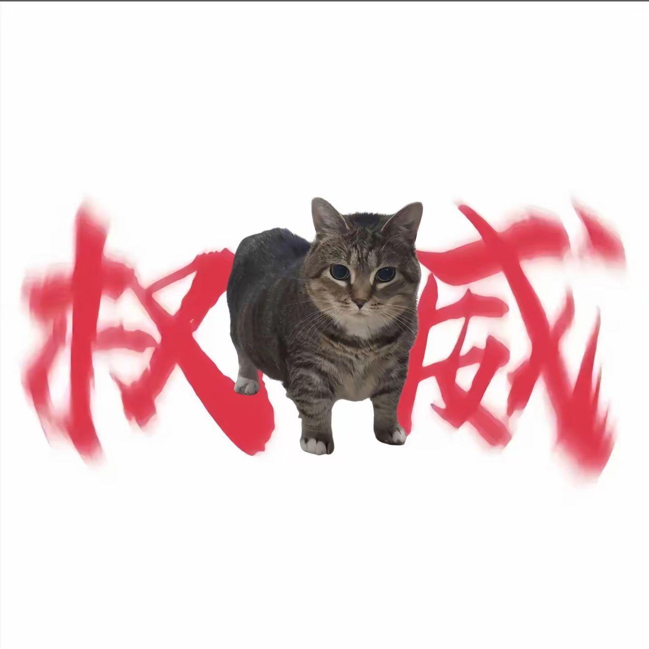 伯虎说（哈基米版）