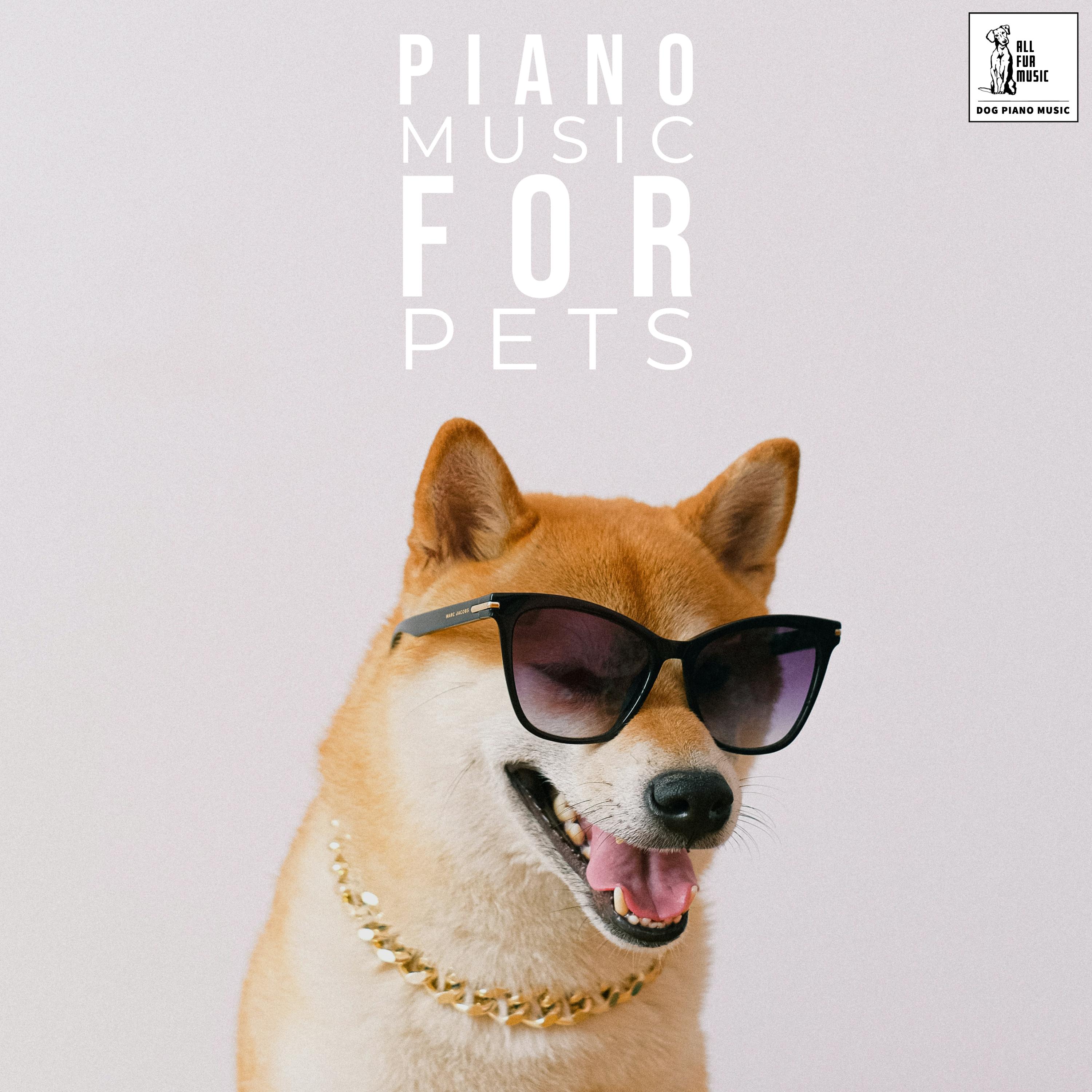 Piano Music For Pets