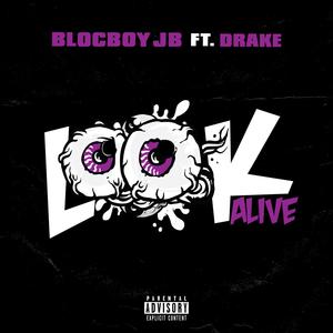 Look Alive - BlocBoy JB feat. Drake (karaoke) 带和声伴奏