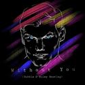 Without You (Bubble O'Riley Bootleg）