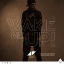 Wake Me Up (Extended Mix)专辑