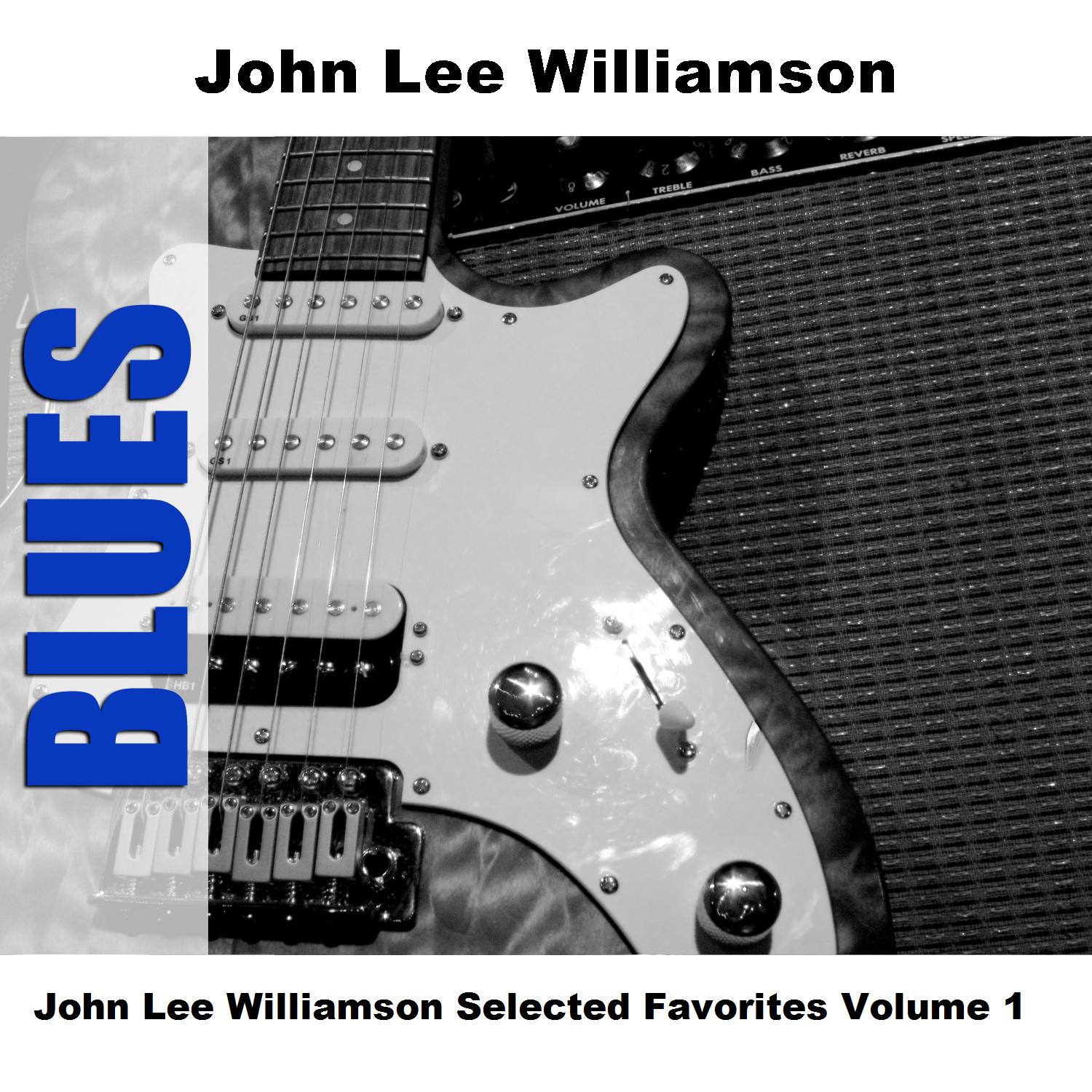 John Lee Williamson Selected Favorites Volume 1