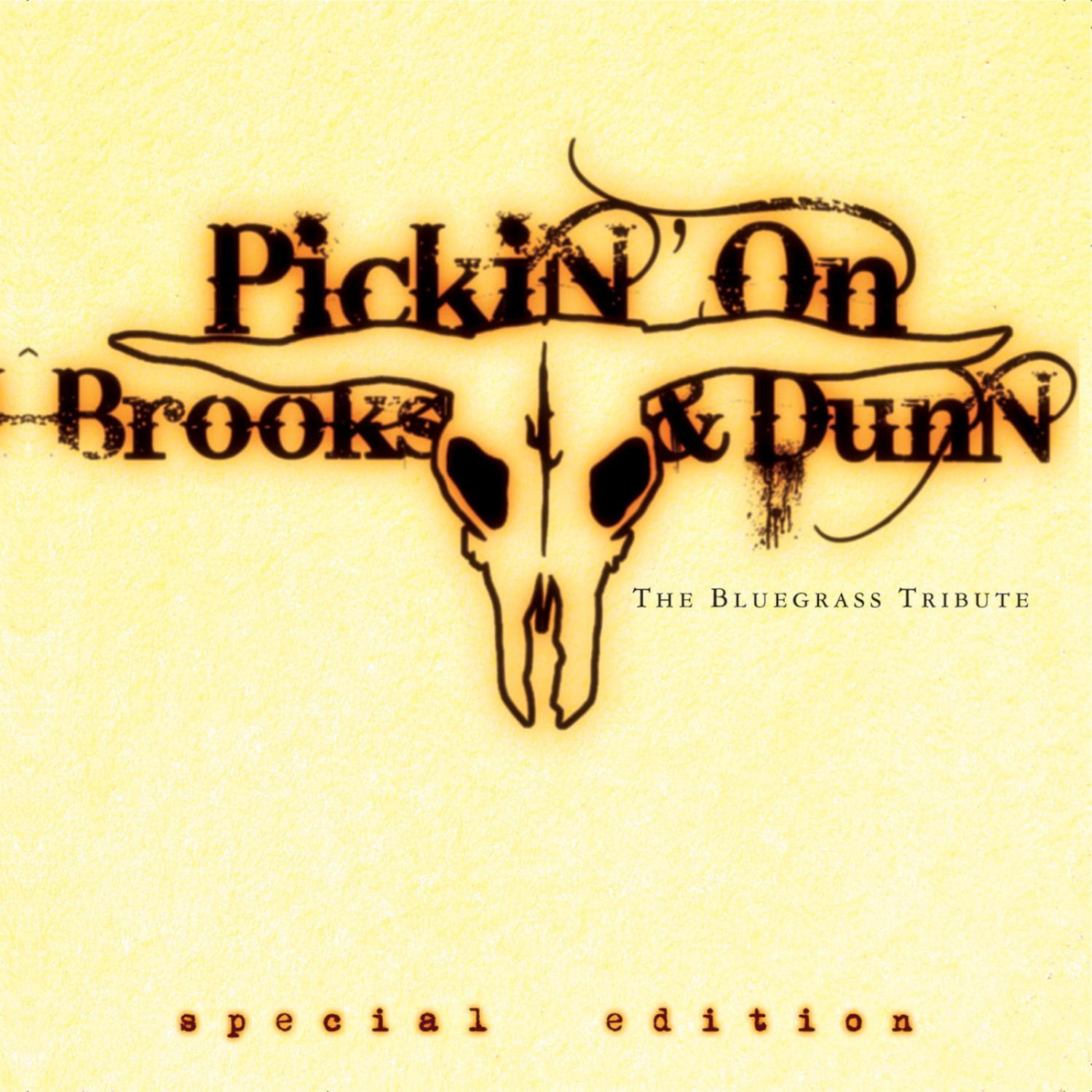 Bluegrass Tribute to Brooks & Dunn