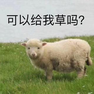茶酚胺