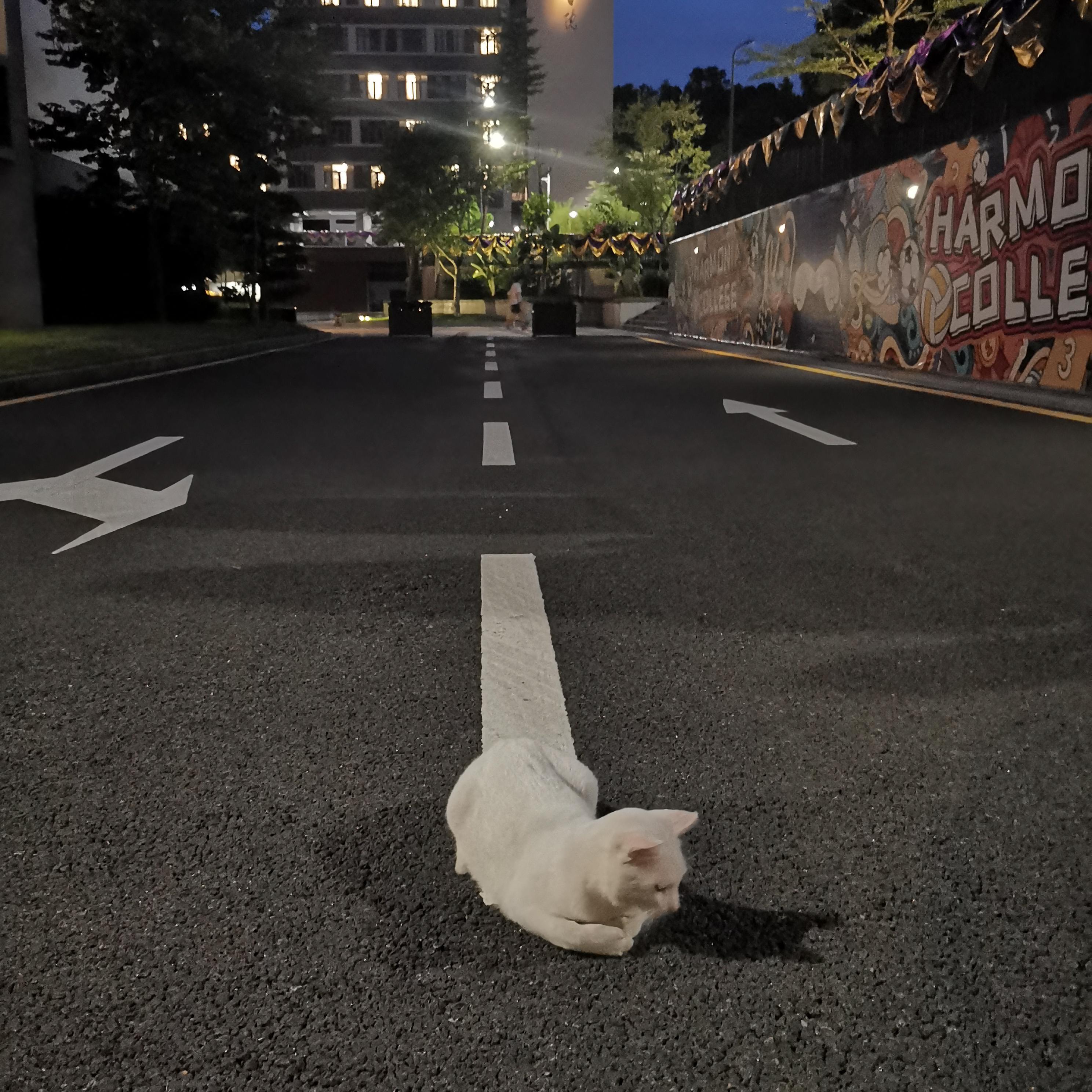 闲置回收站