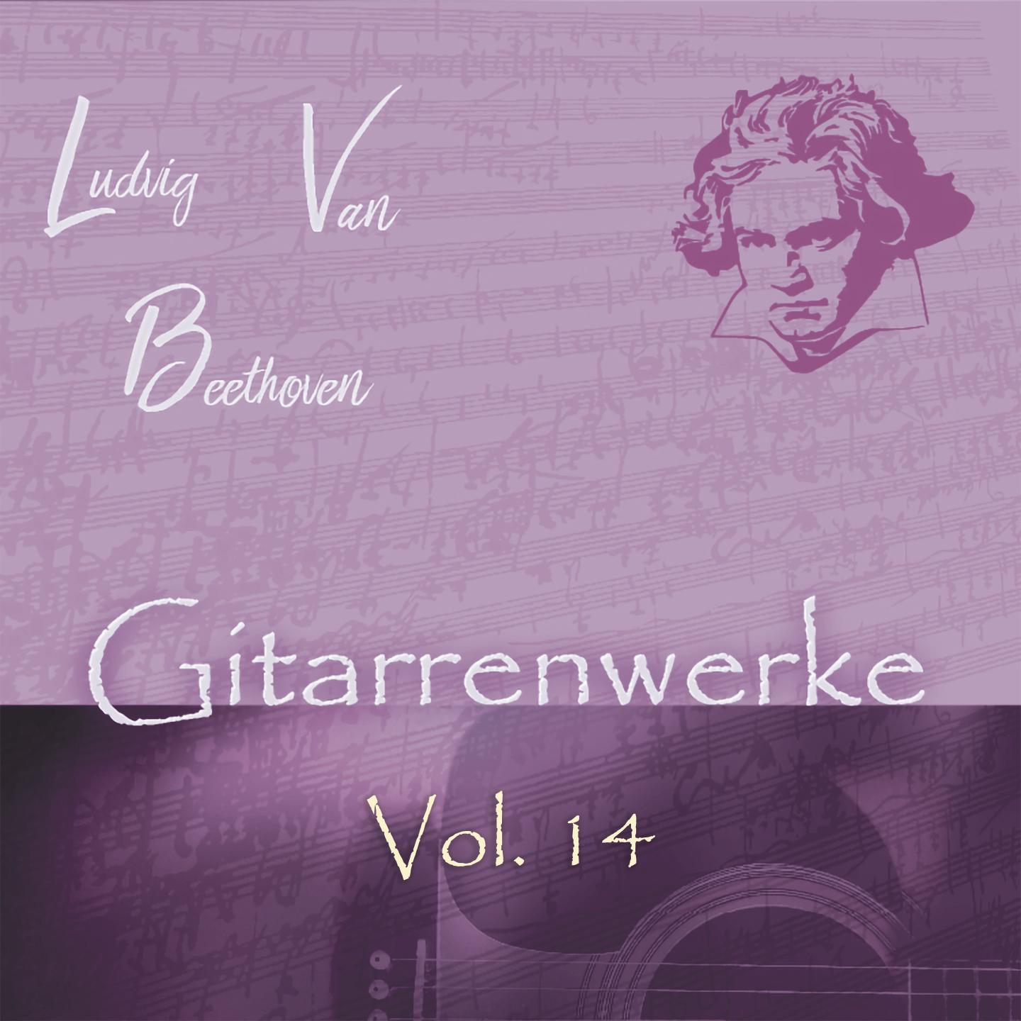Gitarrenwerke, Vol. 14