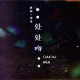 处处吻