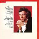 Schumann: Piano Concerto; Concert Allegro; Introduction & Allegro专辑