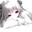 封怀夜
