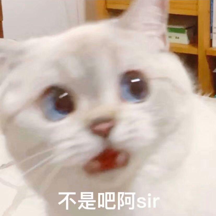 想要谈个恋爱