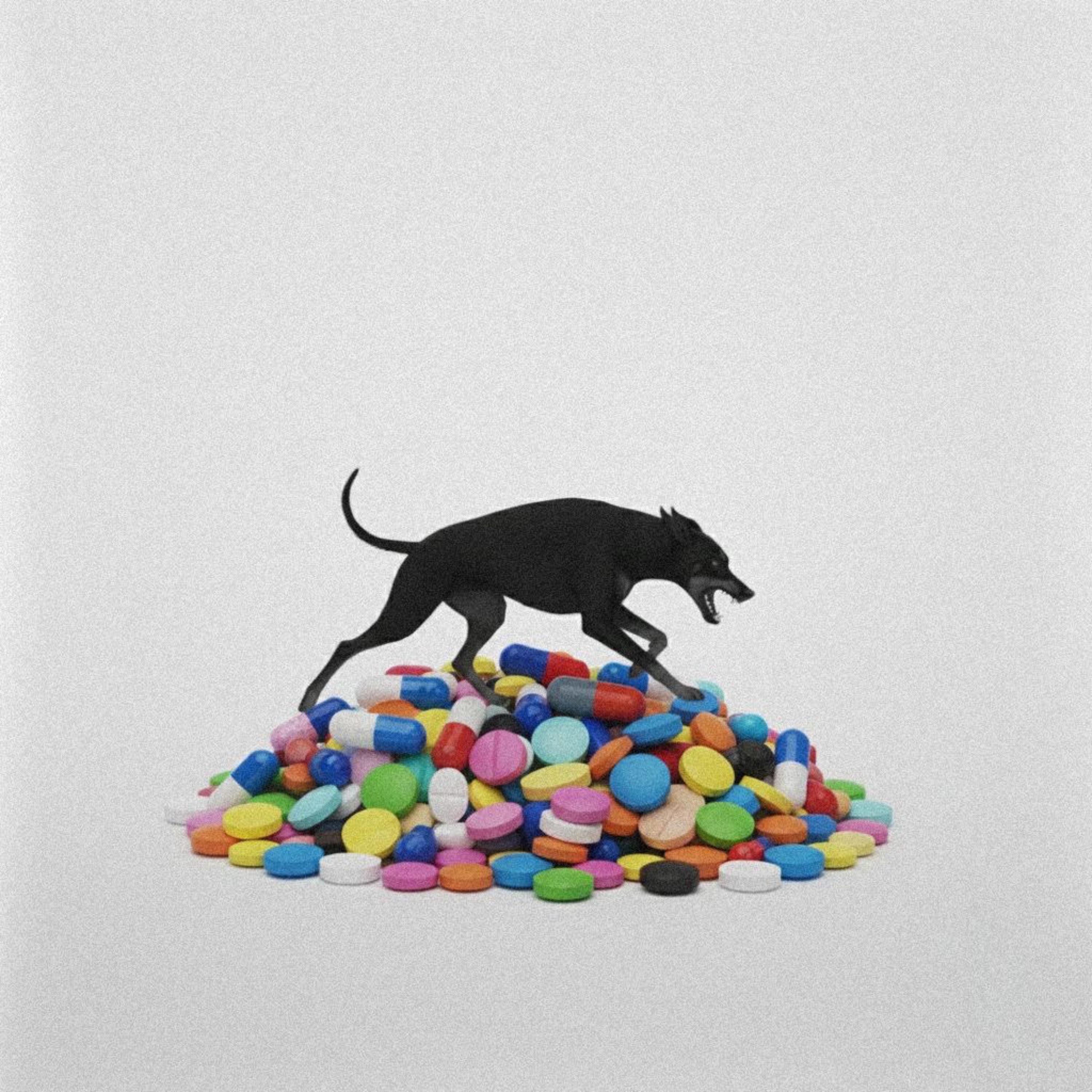 Addicted Love