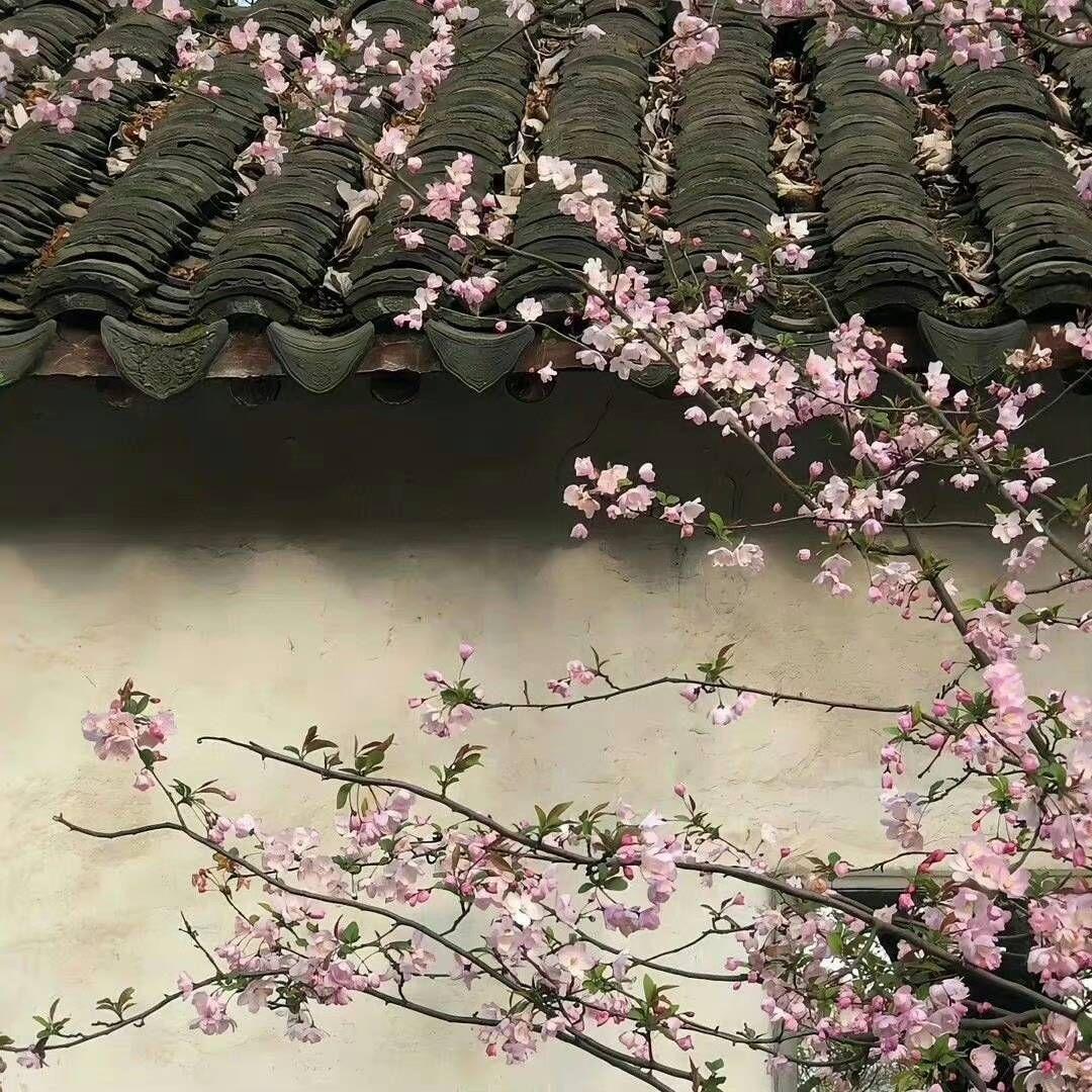 繁花