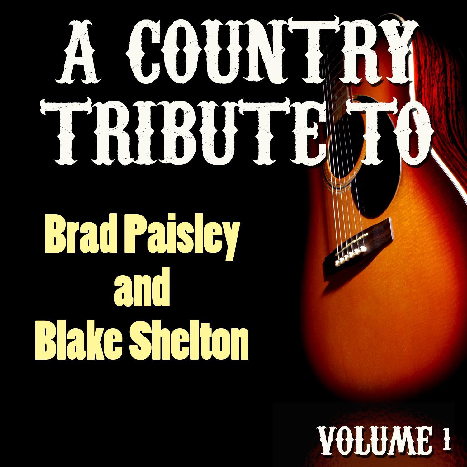 A Country Tribute to Brad Paisley and Blake Shelton Vol. 1