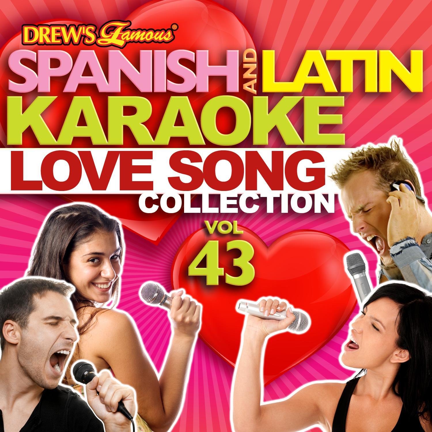 Spanish And Latin Karaoke Love Song Collection, Vol. 43