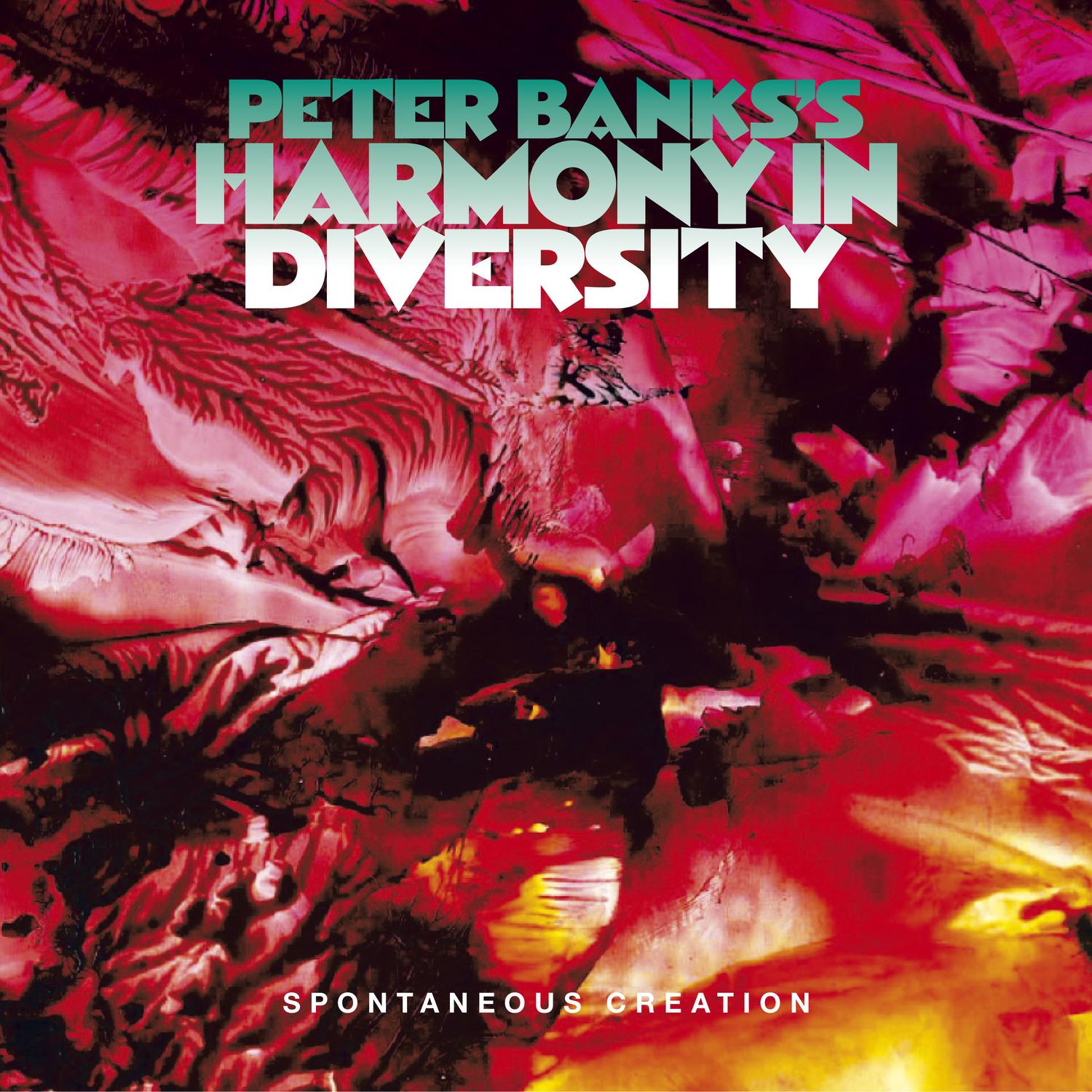 Peter Banks's Harmony in Diversity: Spontaneous Creation