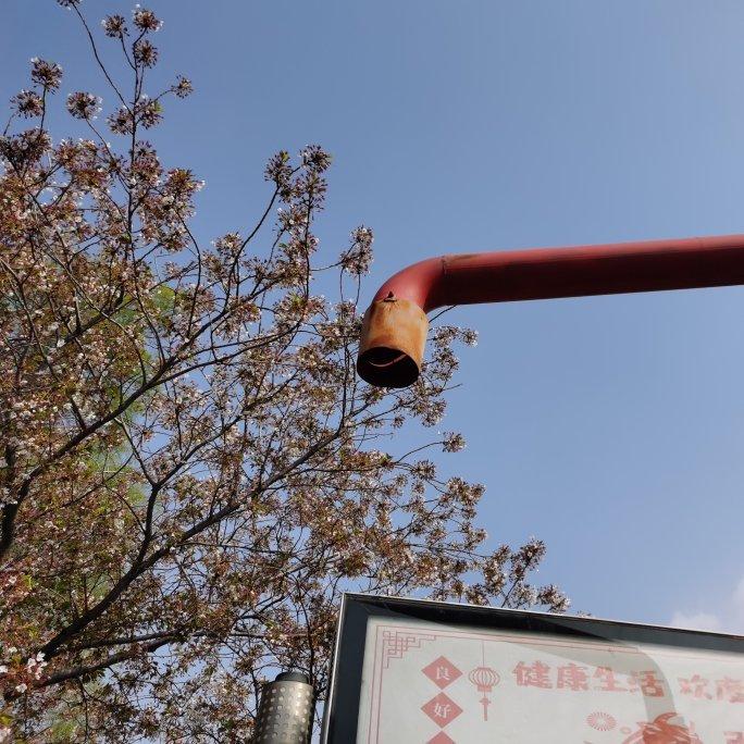 只是偶然的相遇