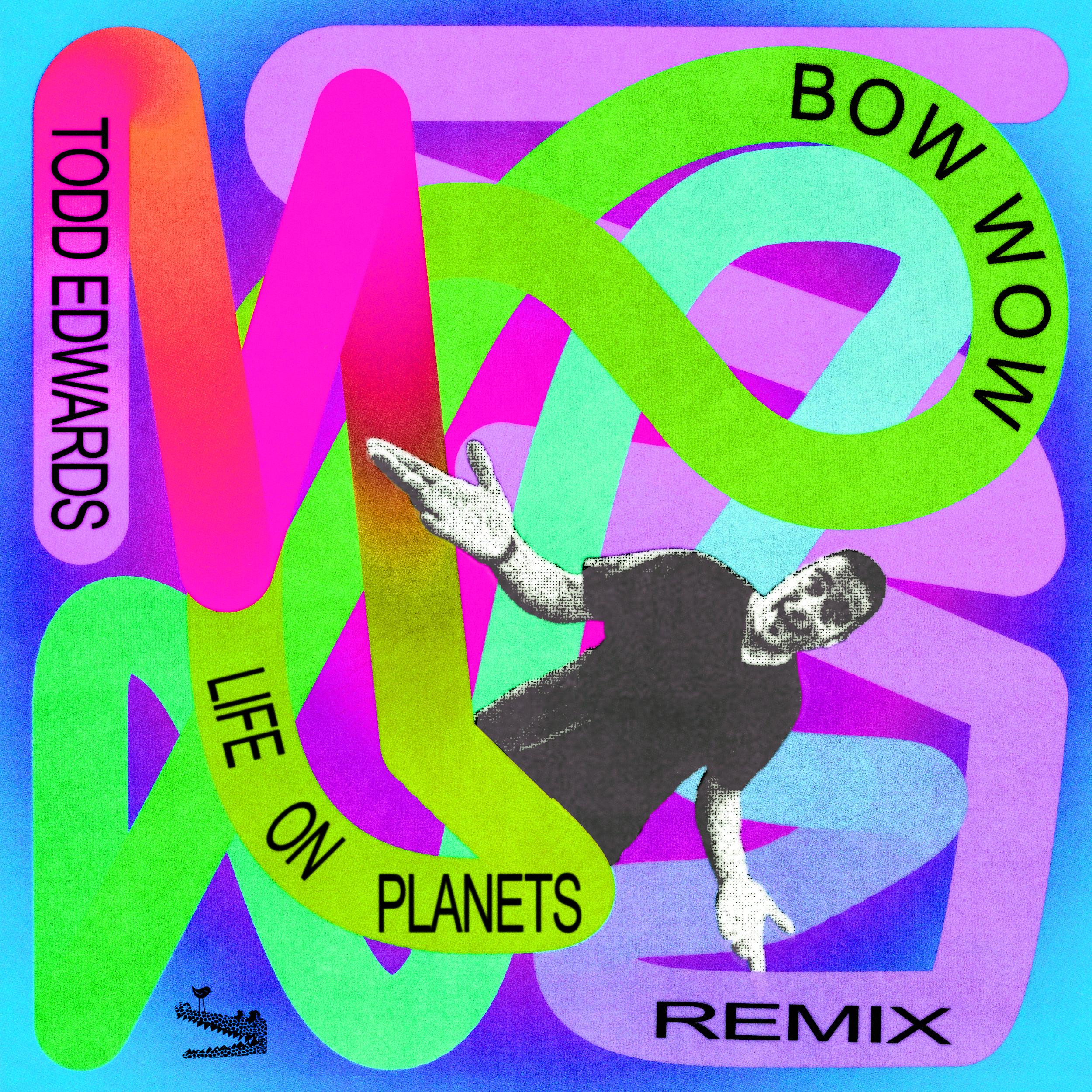 Bow Wow (Todd Edwards Remix)