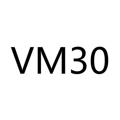 VM30专辑