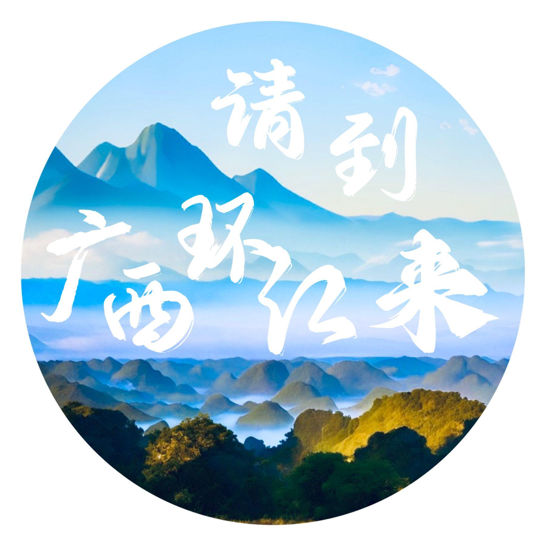 请到广西环江来（DJ版）