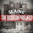 The Boston Project