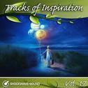 Tracks of Inspiration, Vol. 17专辑