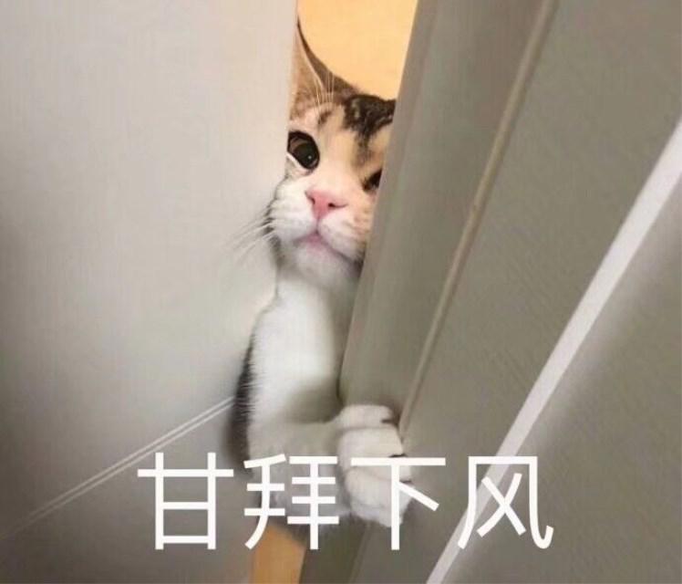 纸短情长专辑