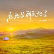 愿此生鲜衣怒马(DJ黄周豪版)