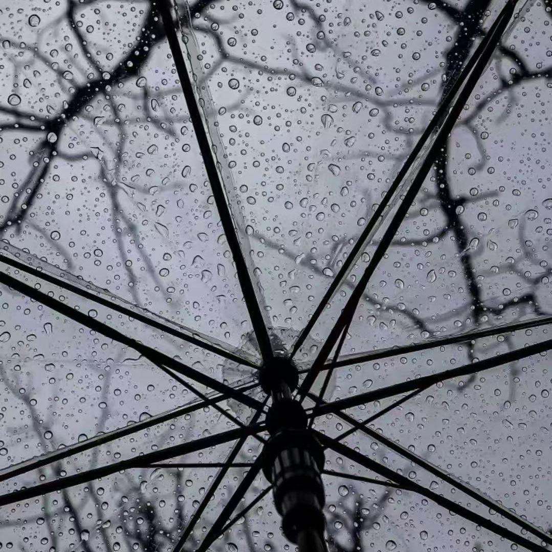 陷专辑