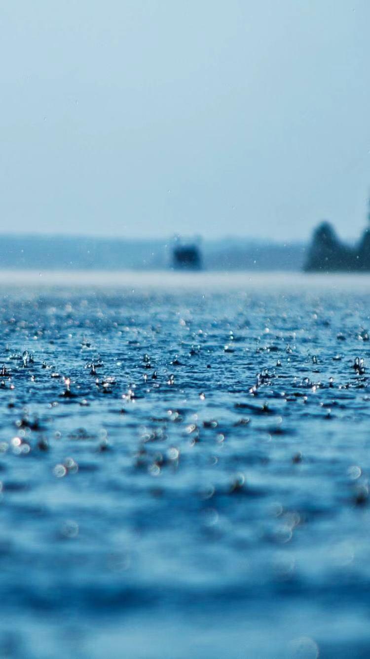 蓝色雨专辑