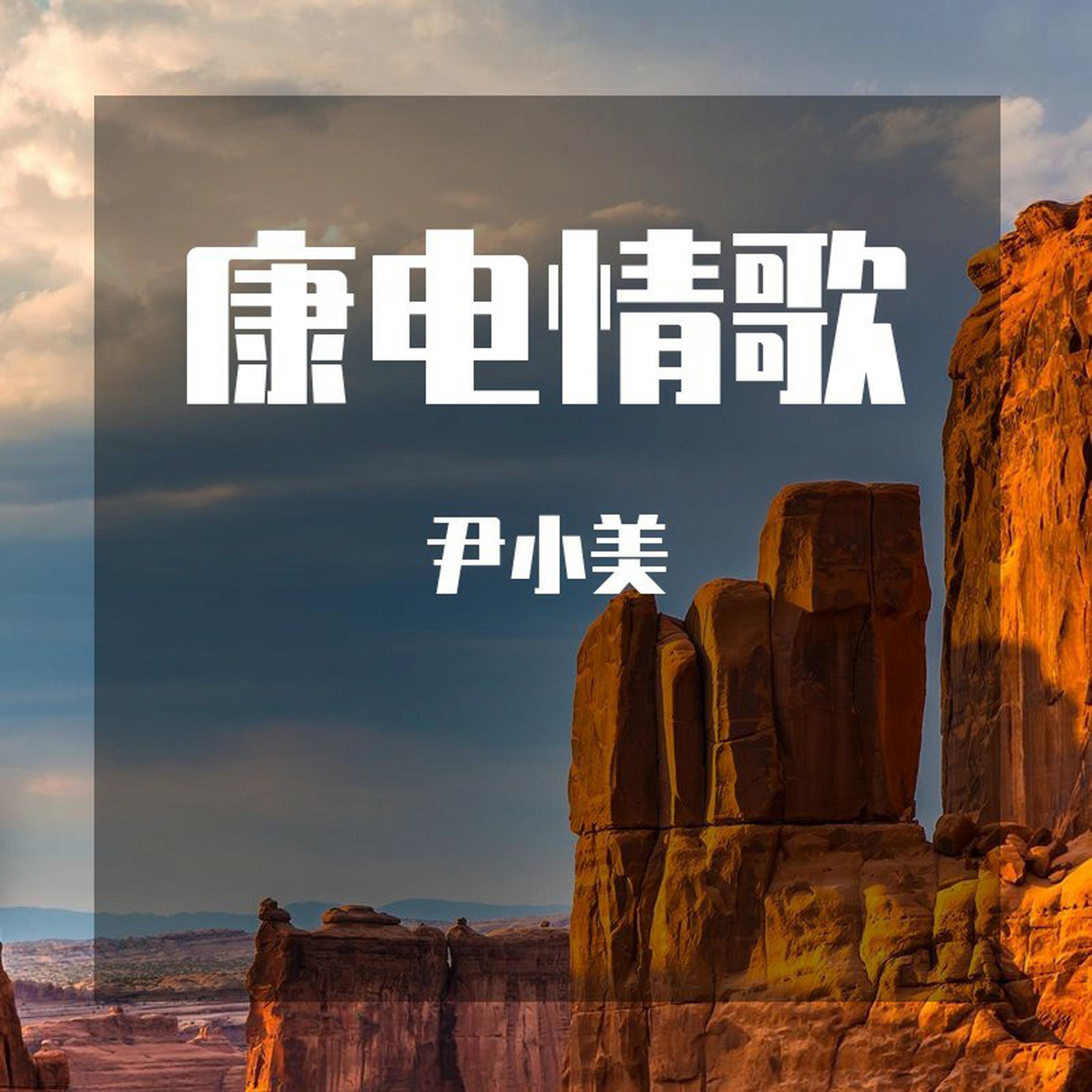 康电情歌