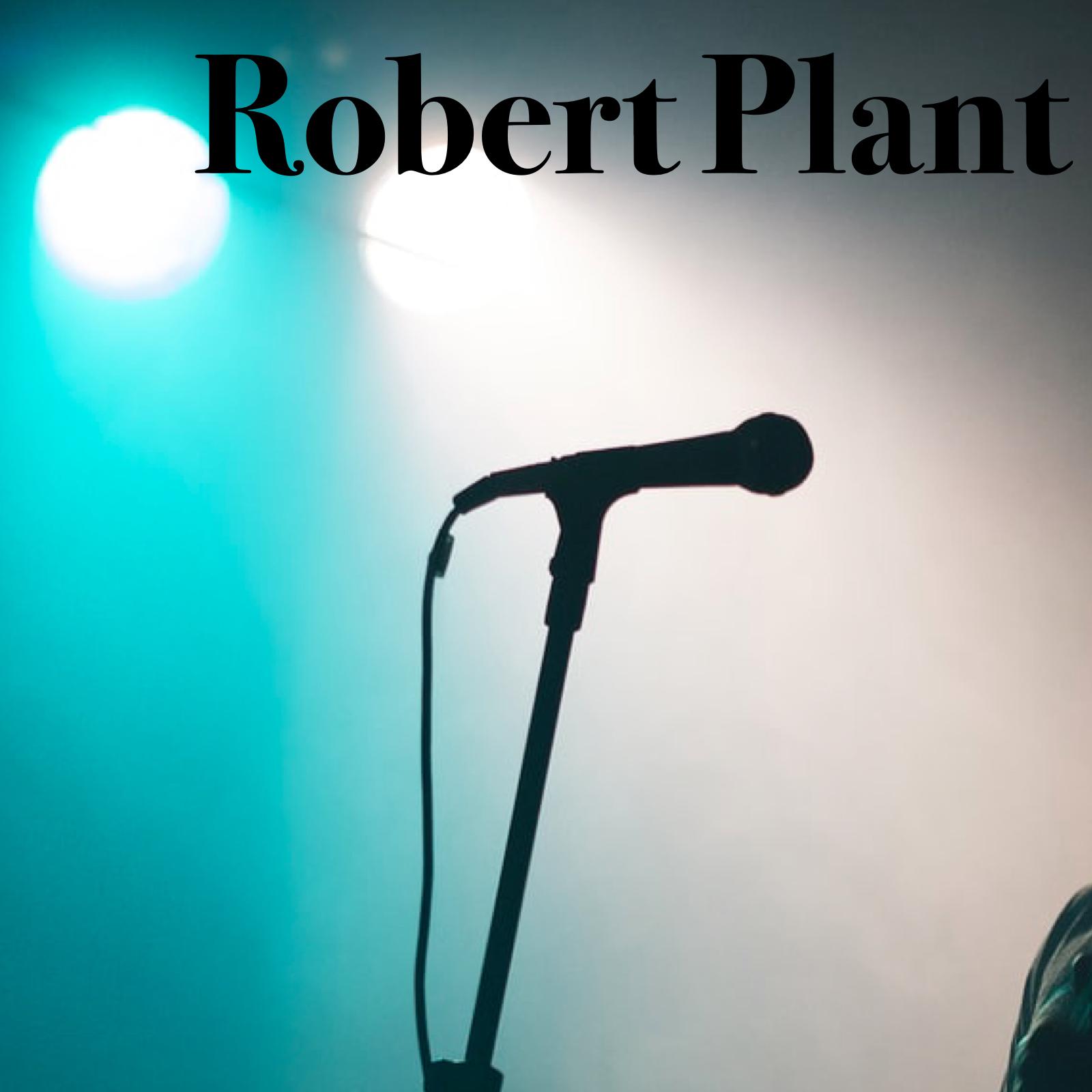 Robert Plant - Pledge Pin