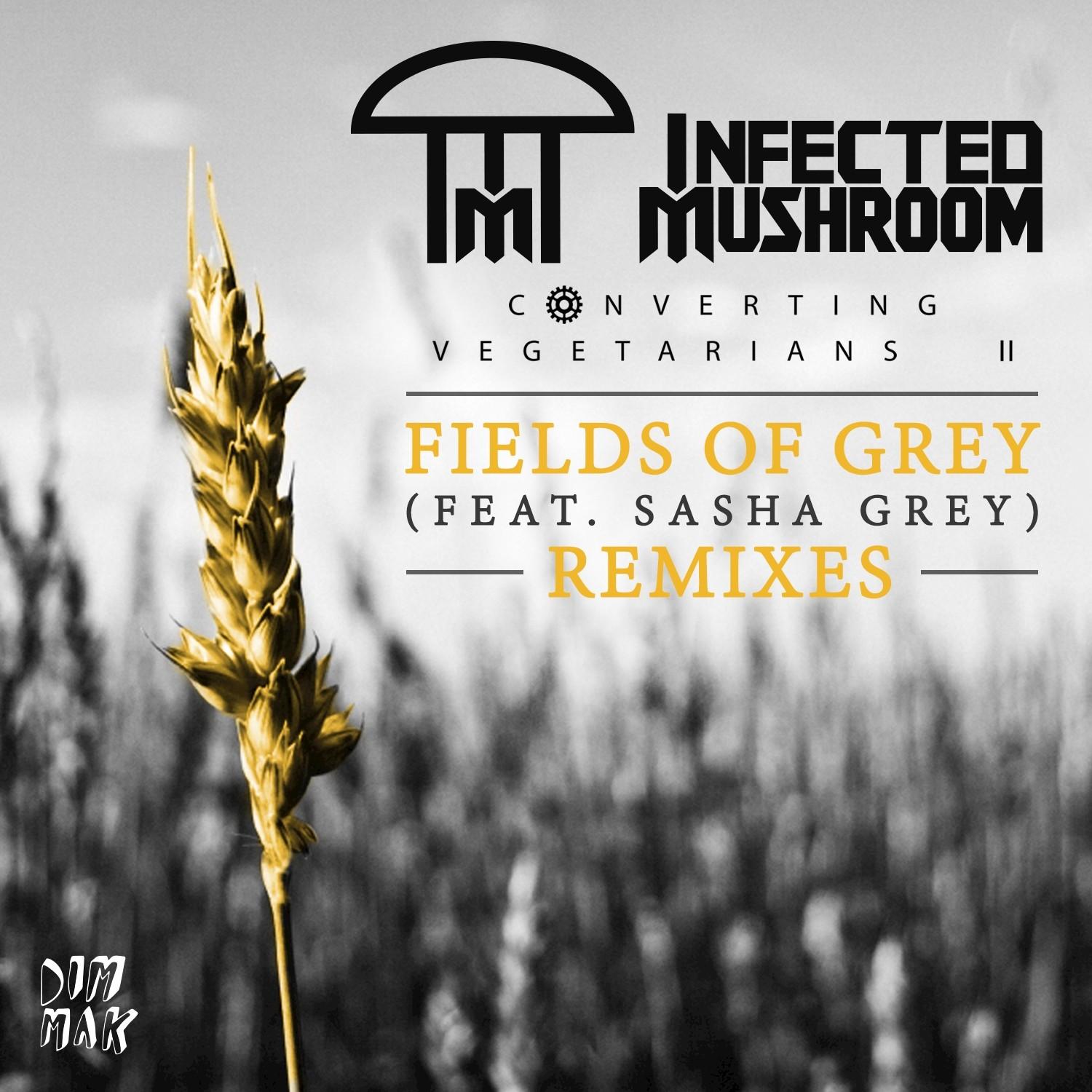 Fields of Grey (Remixes)