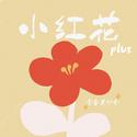 小红花 (Plus版)