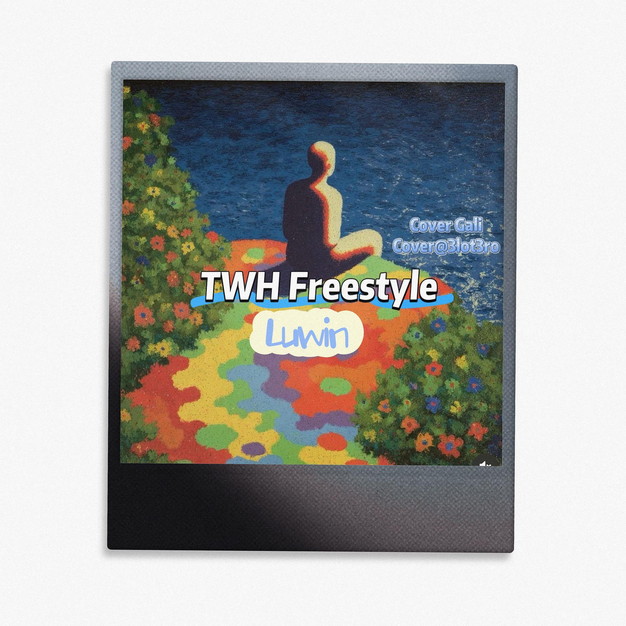 twh freestyle (tv off remix)