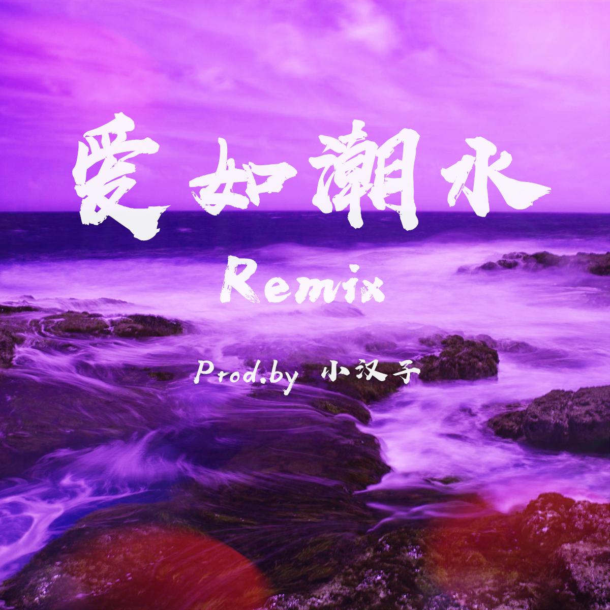 爱如潮水Remix专辑