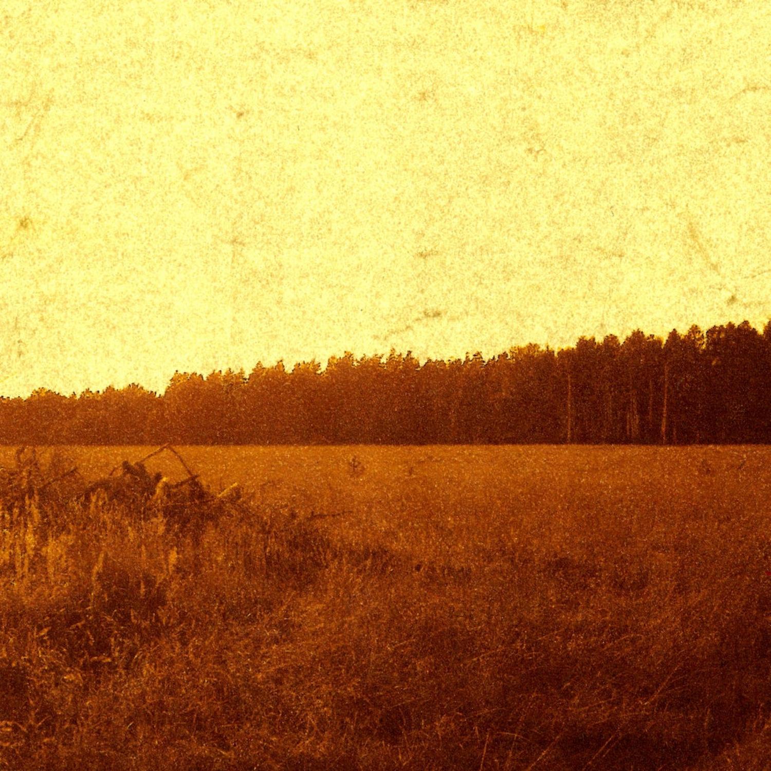 The Late Surge of Gold