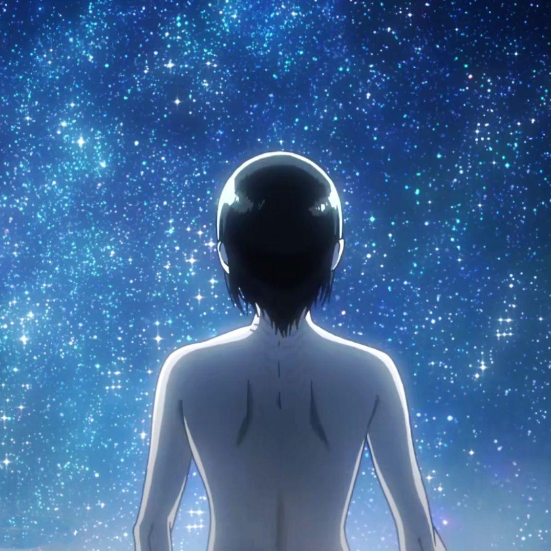 如释鸟Birdiee歌曲封面
