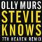 Stevie Knows (7th Heaven Remix)专辑