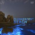 【钢琴曲】Fluorescent Beach