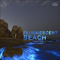 【钢琴曲】Fluorescent Beach专辑