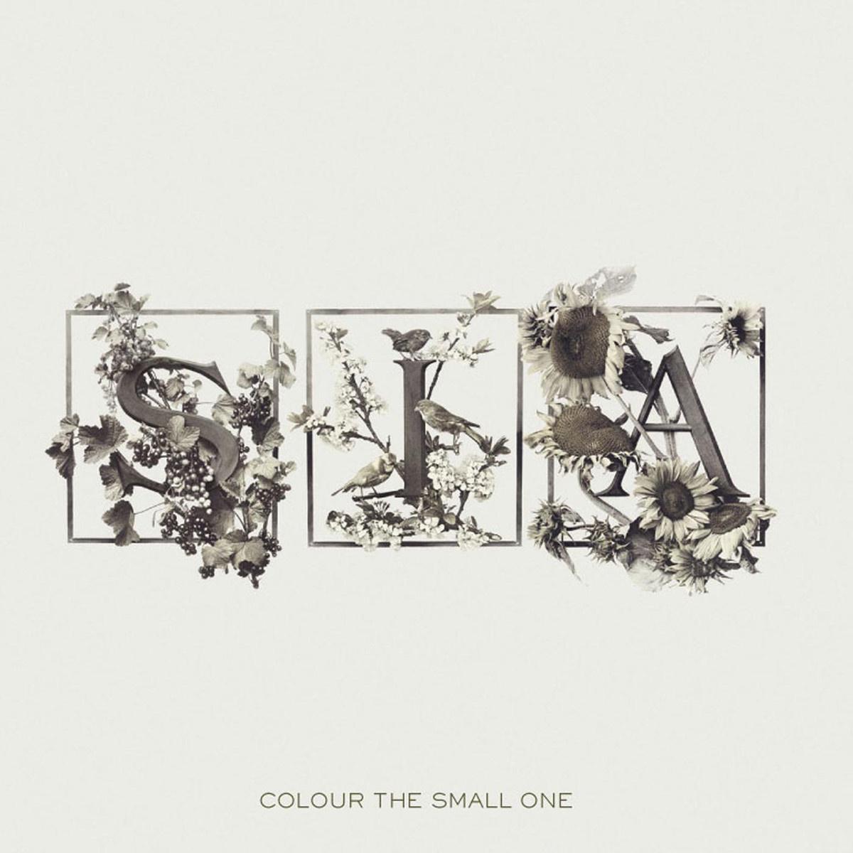 Colour The Small One专辑
