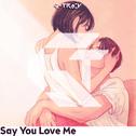 Say You Love Me