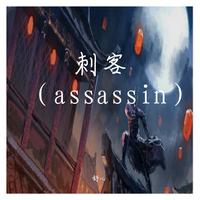 舒心 - 刺客（assassin）(伴奏)