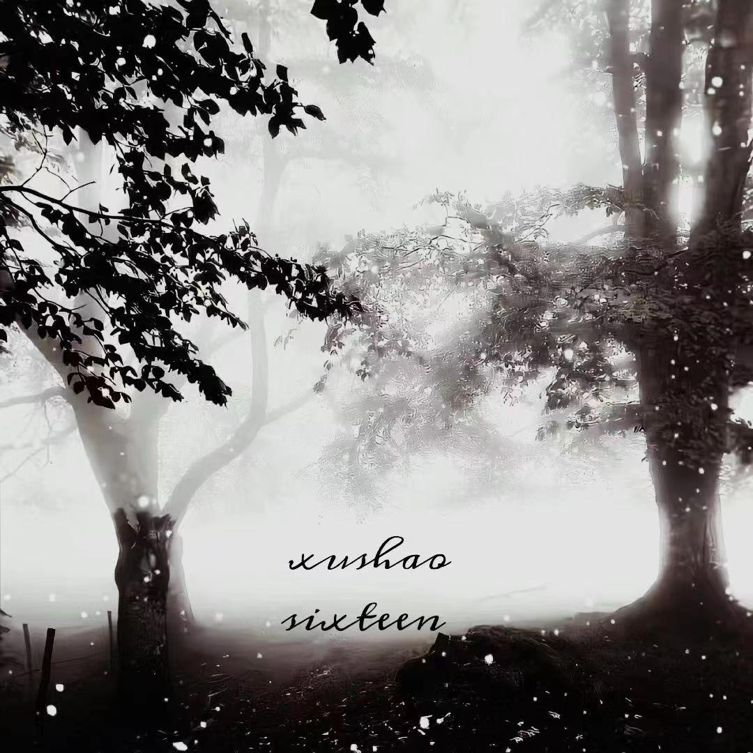 我想要看到你期待的那场雪