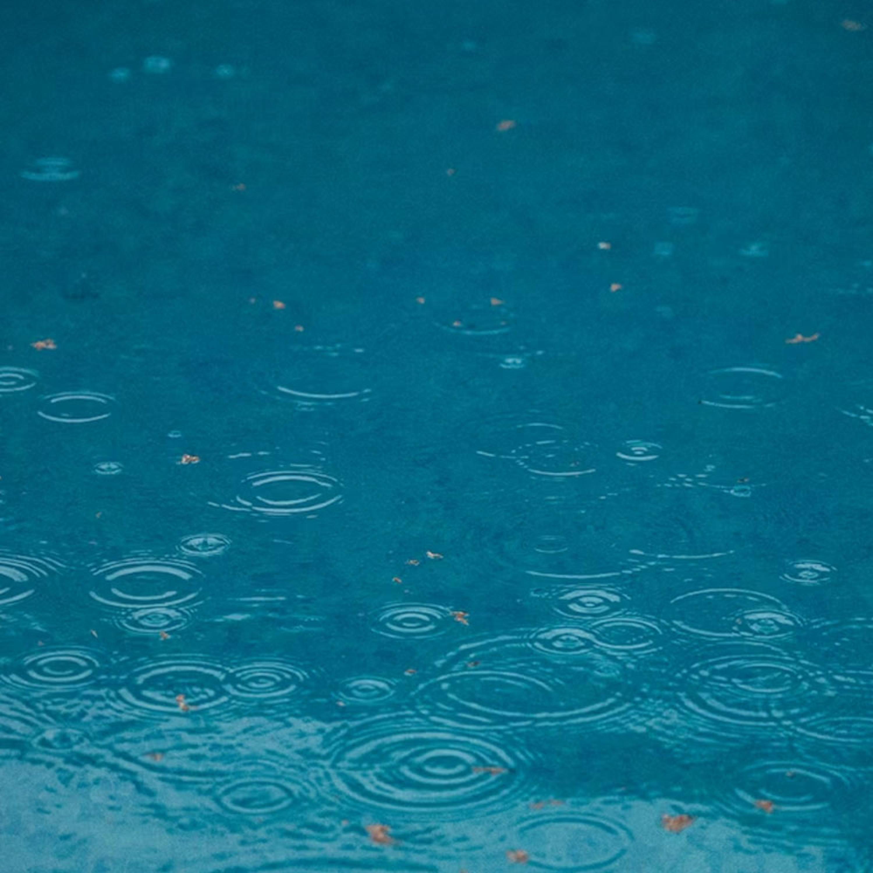 Rain (feat. 初音ミク)